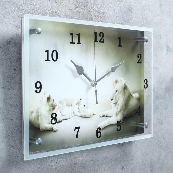 Часы-картина настенные, серия: Животный мир, "Белые львы" 25х35 см - фото 2 - id-p217804490