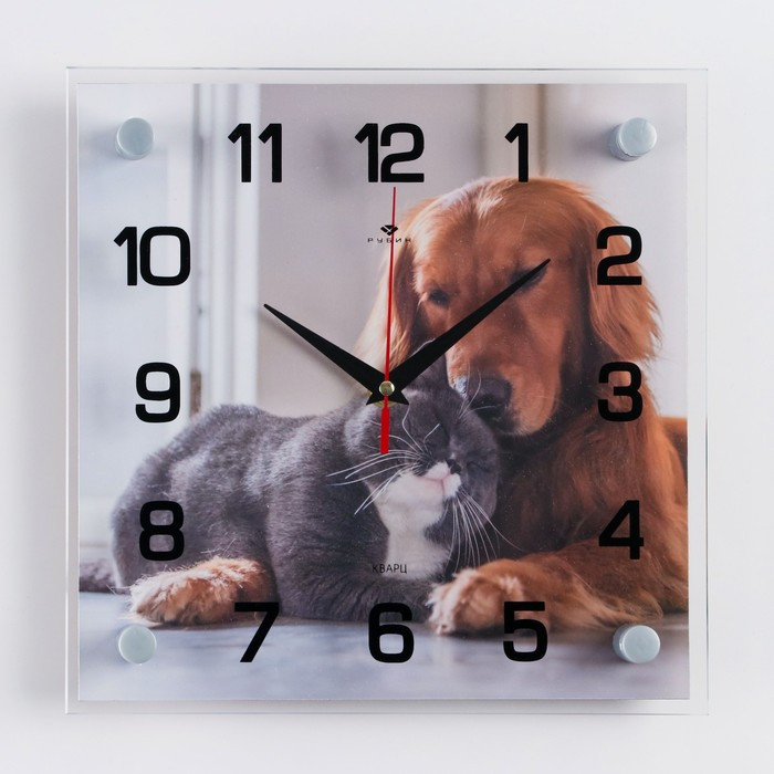 Часы-картина настенные, серия: Интерьер, "Кошка с собакой", 25 х 25 см - фото 1 - id-p217804603