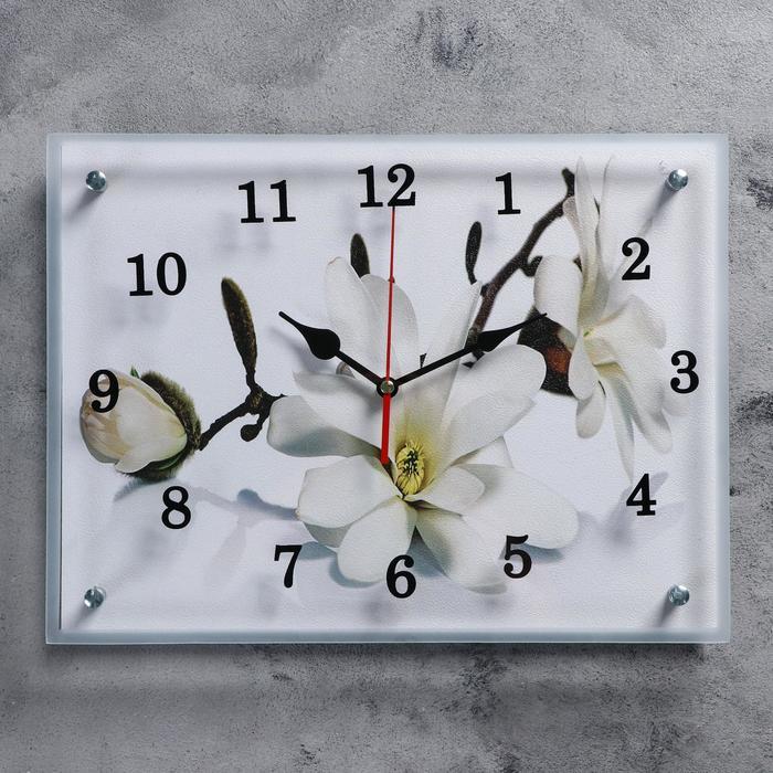 Часы настенные, серия: Цветы, "Орхидея", 30х40 см, микс - фото 1 - id-p217804690