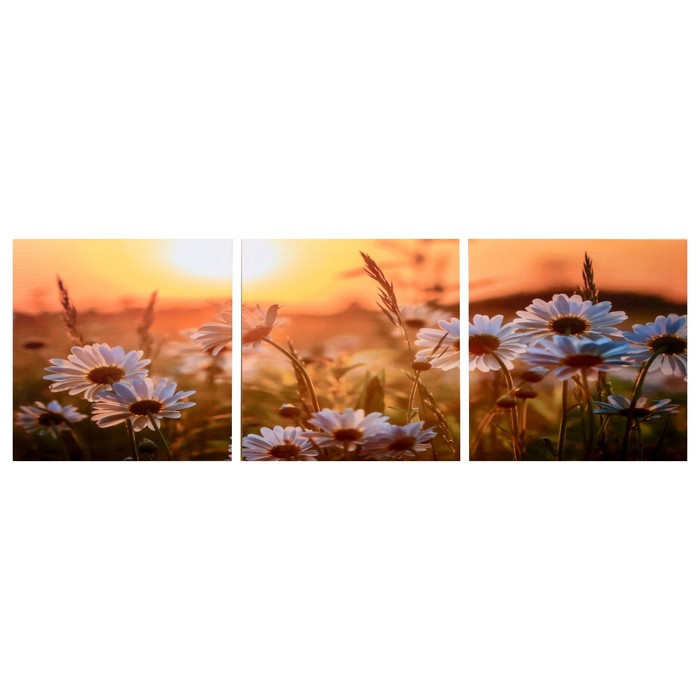 Модульная картина "Ромашки в закате" (3-35х35) 35х105 см - фото 1 - id-p217804864