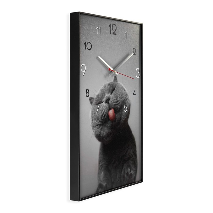 Часы-картина настенные, серия: Интерьер, "Котик", плавный ход, 57 х 35 см, 1 АА - фото 4 - id-p217804988
