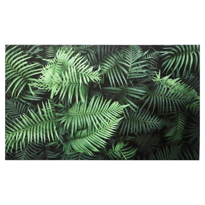 Картина на холсте "Листья папоротника" 60х100 см - фото 1 - id-p217805211