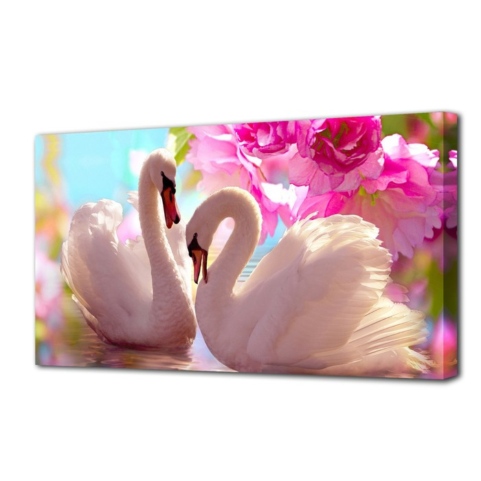 Картина на холсте "Лебеди в розовых цветах" 50х100 см - фото 1 - id-p217805304