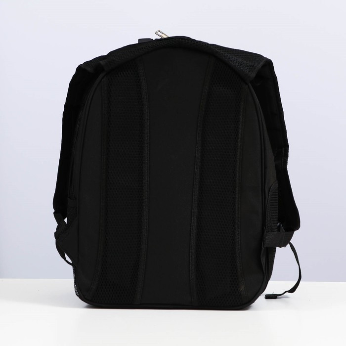 Рюкзак для переноски с окном для обзора и светоотражающей полосой, 32х26х44 см, золотистый - фото 4 - id-p217827906