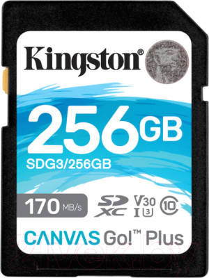 Карта памяти Kingston Canvas Go Plus SDXC (Class10) 256GB (SDG3/256GB) - фото 1 - id-p217899680