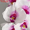Цветы искусственные "Орхидея Галатея" 95 см, бело-фиолетовая, фото 2