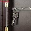 Ключница "Гондолы" венге 15х21 см, фото 4