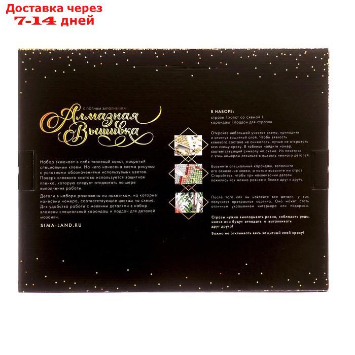 Алмазная мозаика на подрамнике с полным заполнением "Прекрасный Париж", 40х50см - фото 6 - id-p217826280