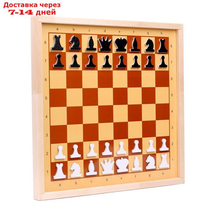 Шахматы демонстрационные магнитные (мини) 04360 - фото 2 - id-p217825509
