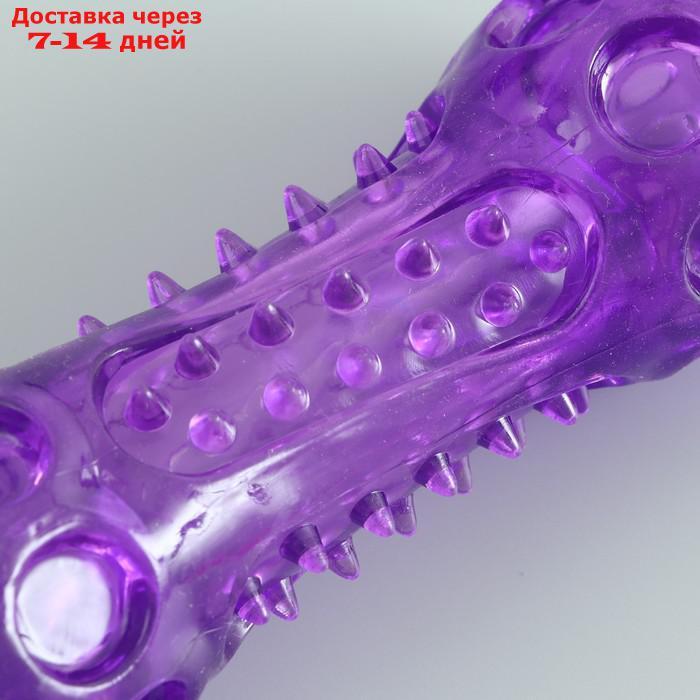 Игрушка-палка из термопластичной резины с утопленной пищалкой, фиолетовая - фото 4 - id-p217826569