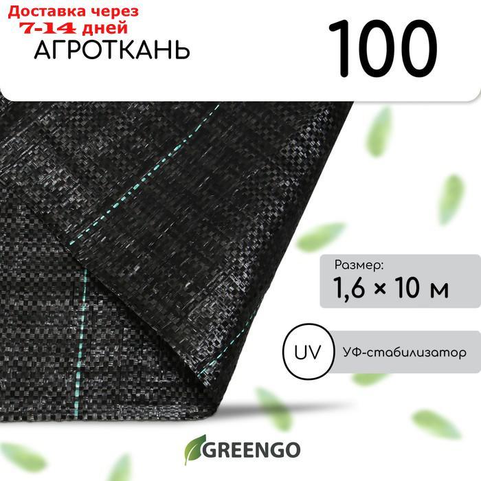 Агроткань застилочная с разметкой, 1.6* 10м, полипропилен УФ 100г/м2. черный, Greengo