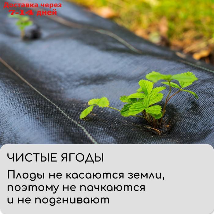 Агроткань застилочная с разметкой, 1.6* 10м, полипропилен УФ 100г/м2. черный, Greengo - фото 3 - id-p217824630