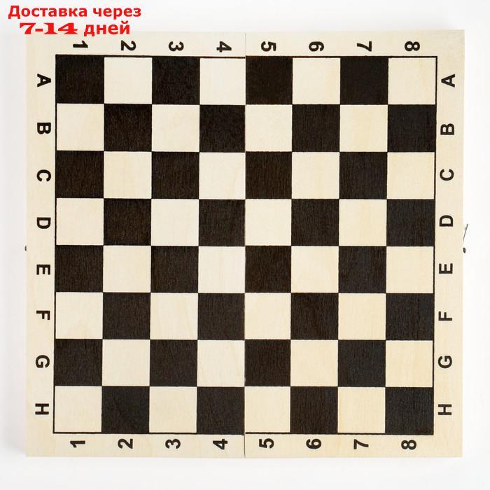 Шахматная доска обиходная, 29 х 29 х 3.5 см - фото 2 - id-p217824636