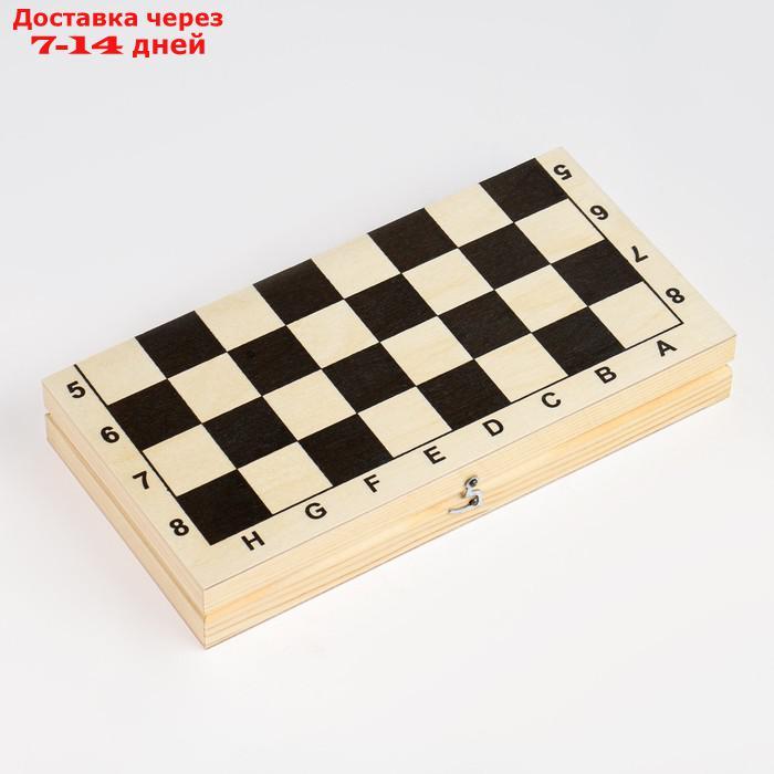 Шахматная доска обиходная, 29 х 29 х 3.5 см - фото 3 - id-p217824636