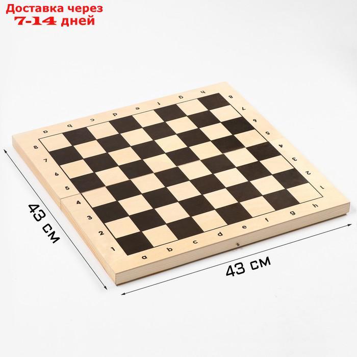 Шахматная доска гроссмейстерская, 41 х 41 х 5.2 см