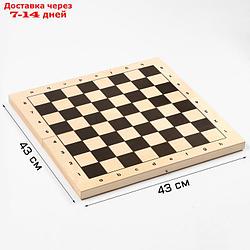 Шахматная доска гроссмейстерская, 41 х 41 х 5.2 см