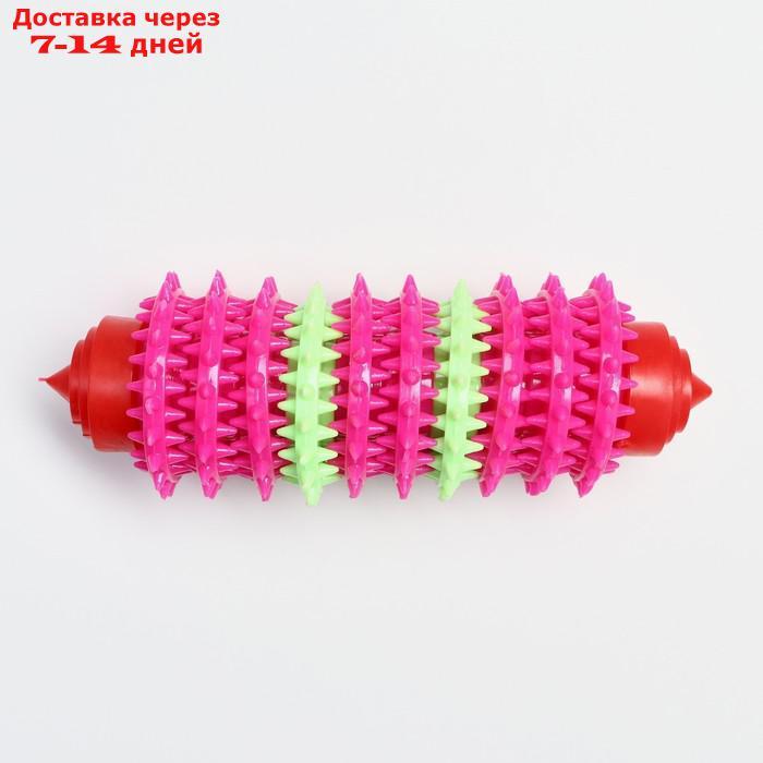 Игрушка жевательная 15,5 х 5,5 см, красная/розовая/зелёная - фото 2 - id-p217825814