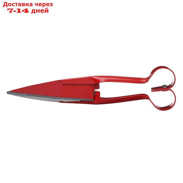 Ножницы для стрижки овец 26*6*2.5 см, закалённый металл - фото 1 - id-p217824004