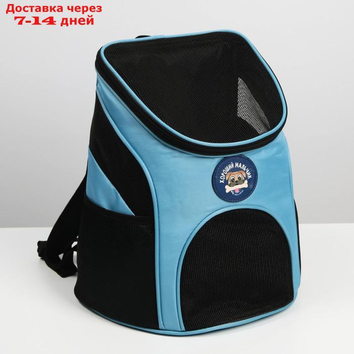 Рюкзак для переноски животных "Хороший мальчик" 31х23х30 см - фото 2 - id-p217825923