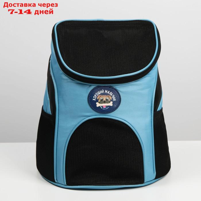 Рюкзак для переноски животных "Хороший мальчик" 31х23х30 см - фото 3 - id-p217825923