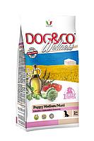 Adragna Dog&Co Puppy Medium/Maxi Chicken & Rice, 3 кг