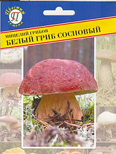 Белый гриб сосновый 50мл (мицелия)