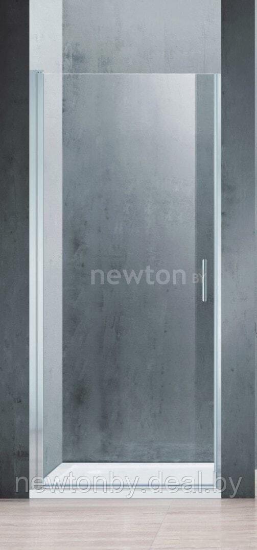 Душевая дверь Adema Nap-70 (прозрачное стекло) - фото 1 - id-p211448747