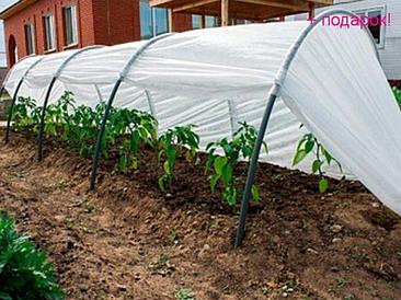 ОСТРОВ КОМФОРТА Беларусь Парник "Бабушкин парничок" 6м, ОСТРОВ КОМФОРТА (длина: 6 м, ширина: 50 см, высота: 70