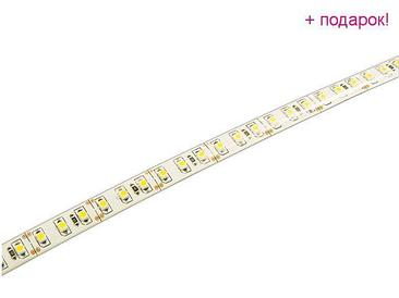 JAZZWAY Китай Лента светодиодная PLS 2835/120 (12.0 Вт/м, 6500К, IP65, 12В (5 м в уп.) JAZZWAY (120 диод/м,