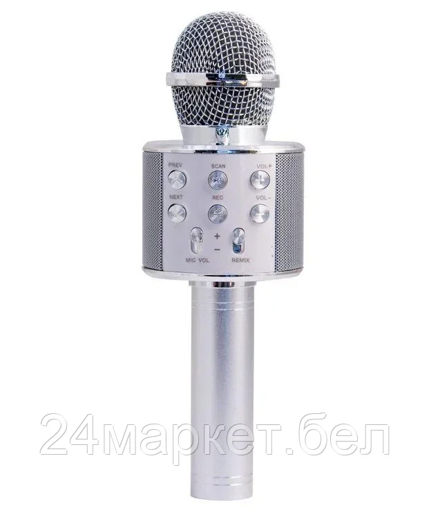 MA3001SR Микрофон Belsis - фото 1 - id-p218024923