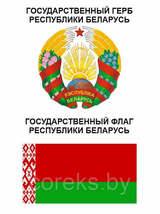 Стенд с символикой Республики Беларусь (29,7*42 см)