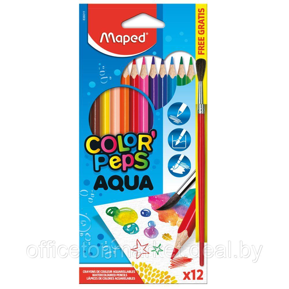 Цветные карандаши Maped "Aqua" + кисточка, 12 цветов - фото 1 - id-p215593913