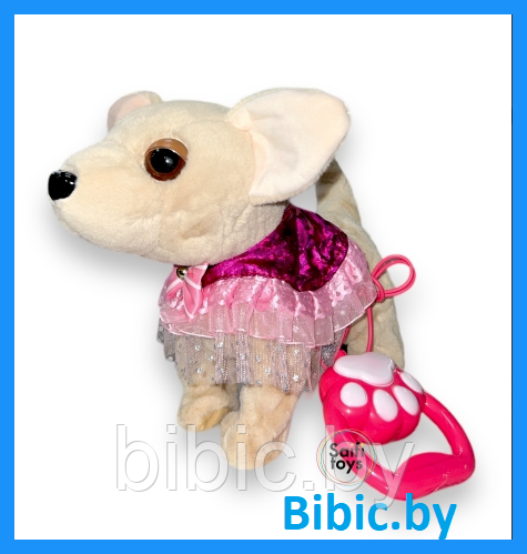 Чичилав, собачка детская интерактивная А9-56 игрушка на батарейках со звуком, чи чи лав собачки мягкие игрушки