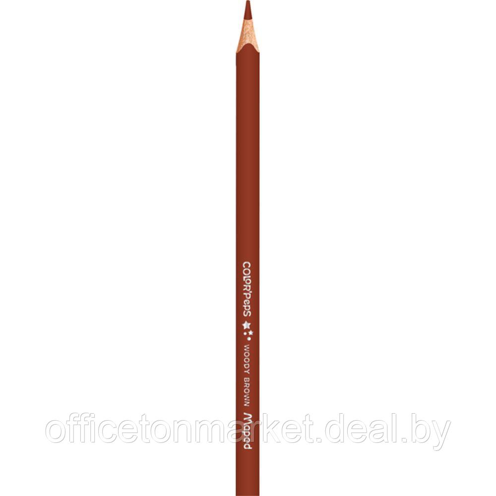 Цветные карандаши Maped "Skin Tones", 12+3 шт - фото 10 - id-p218046224