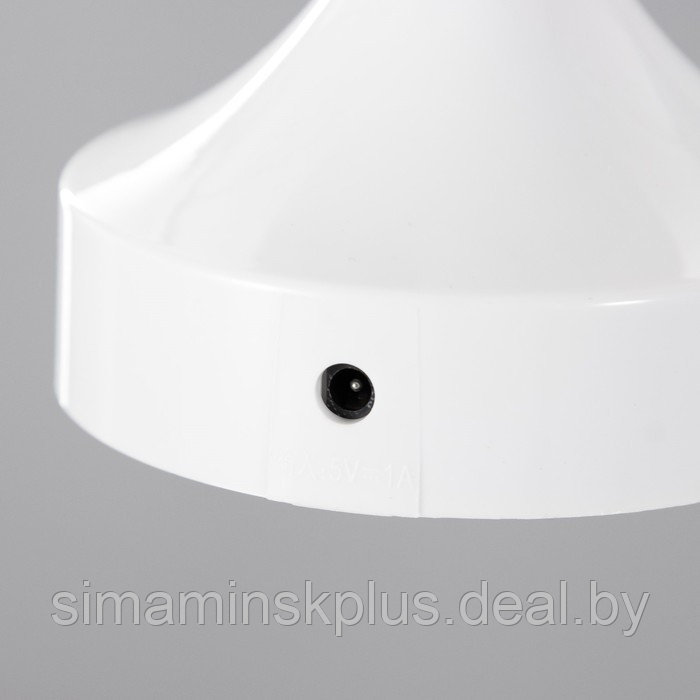 Настольная лампа с ПДУ "Вильям" LED 0.9Вт 4000К USB АКБ белый 11х11х16,2см - фото 6 - id-p218076378