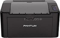 Принтер Pantum P2507