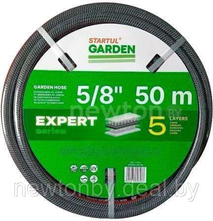 Шланг Startul Garden Expert ST6035-5/8-50 (5/8", 50 м) - фото 1 - id-p207260400