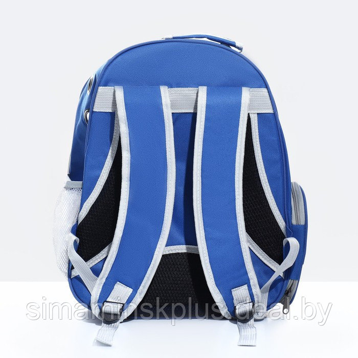 Рюкзак для переноски животных прозрачный, 31 х 28 х 42 см, синий - фото 3 - id-p218088758