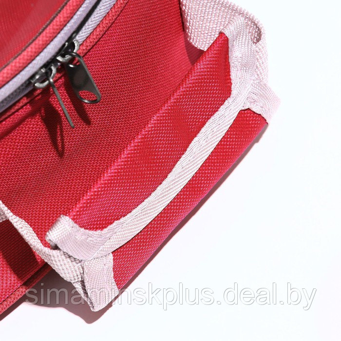 Рюкзак для переноски животных прозрачный, 31 х 28 х 42 см, красный - фото 6 - id-p218088759