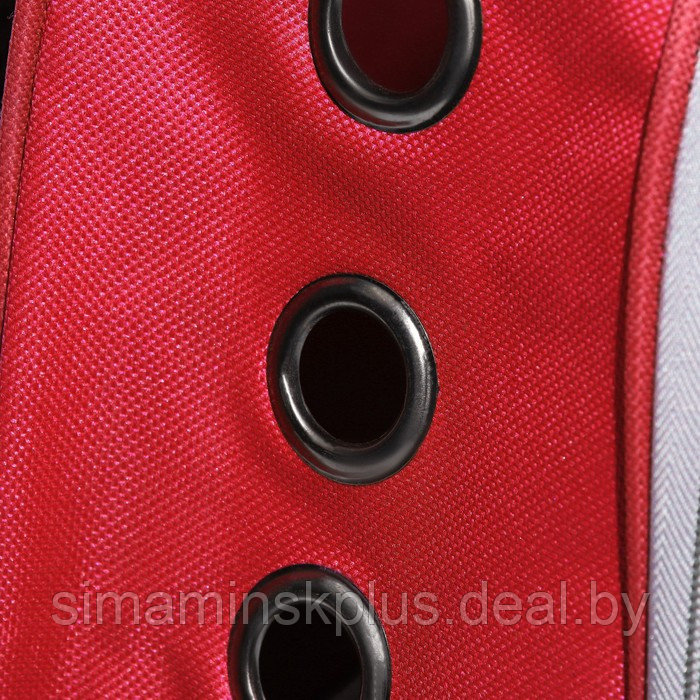 Рюкзак для переноски животных прозрачный, 31 х 28 х 42 см, красный - фото 8 - id-p218088759