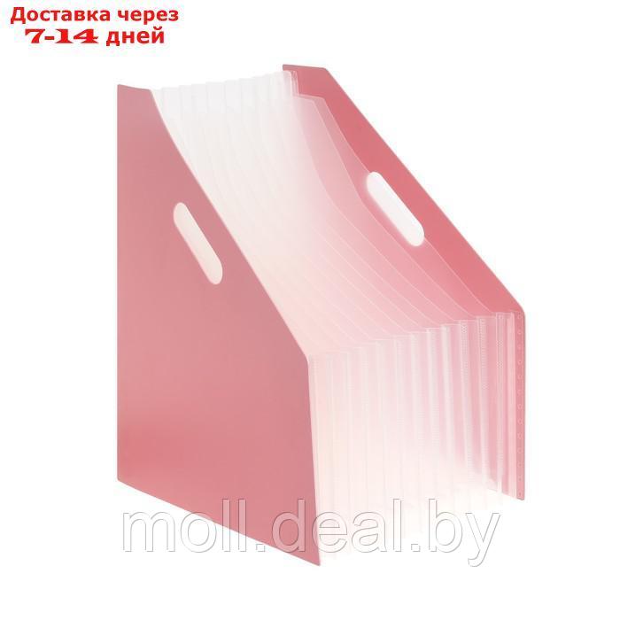 Лоток вертикальный для бумаг А4, пластик, 12 отделений, пастель розовый - фото 2 - id-p217523488