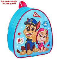 Рюкзак детский "Гонщик и Скай" Paw Patrol