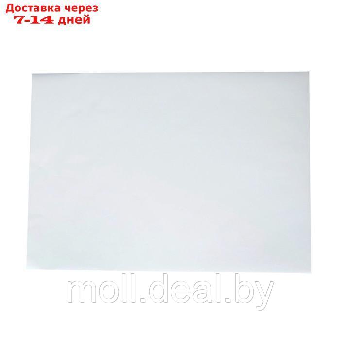 Бумага самоклеющаяся, формат A2, 100 листов, глянцевая, белая - фото 1 - id-p217522671