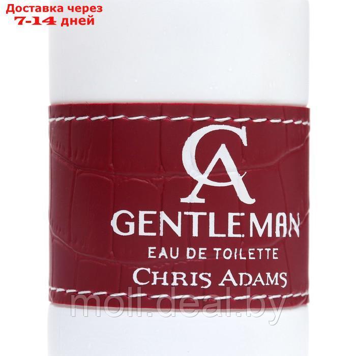 Туалетная вода мужская Chris Adams Ca Gentleman, 100 мл - фото 3 - id-p217522685