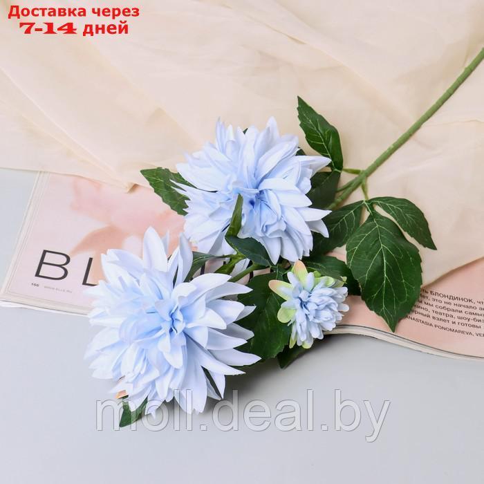 Цветы искусственные "Георгин садовый галант" 11х61 см, голубой