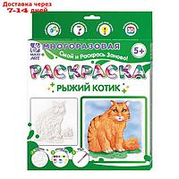 Многоразовая раскраска "Рыжий котик",20 × 20 см