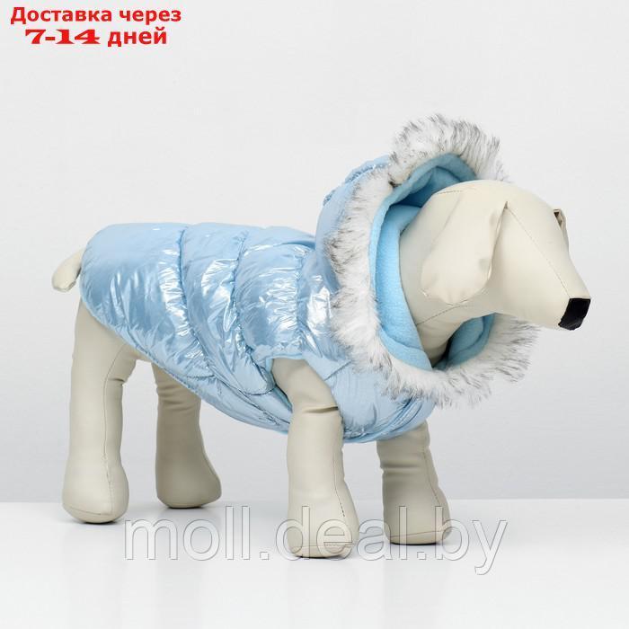 Куртка для собак "Легкость", размер L (ДС 34, ОГ 47, ОШ 34 см, до 11 кг), голубая - фото 3 - id-p217523215