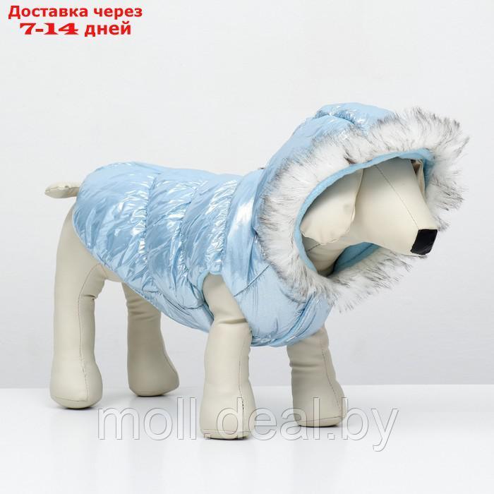 Куртка для собак "Легкость", размер L (ДС 34, ОГ 47, ОШ 34 см, до 11 кг), голубая - фото 5 - id-p217523215