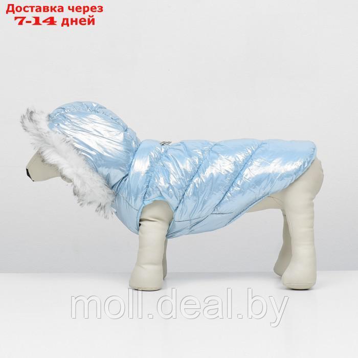 Куртка для собак "Легкость", размер L (ДС 34, ОГ 47, ОШ 34 см, до 11 кг), голубая - фото 6 - id-p217523215