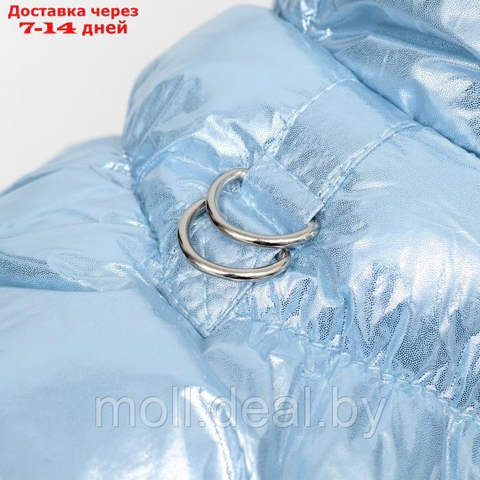 Куртка для собак "Легкость", размер L (ДС 34, ОГ 47, ОШ 34 см, до 11 кг), голубая - фото 8 - id-p217523215
